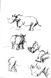 Rhinocéros de BD - Corinne Glass